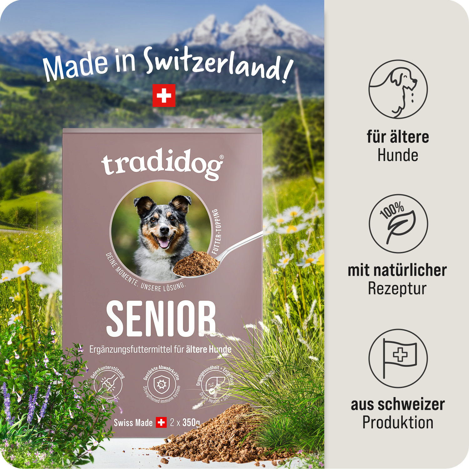 Set iniziale - SENIOR