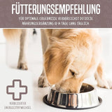 Dog eating from a bowl, representing tradidog® SENIOR supplement designed for older dogs, promoting vitality and well-being through its unique, nutrient-rich formula.